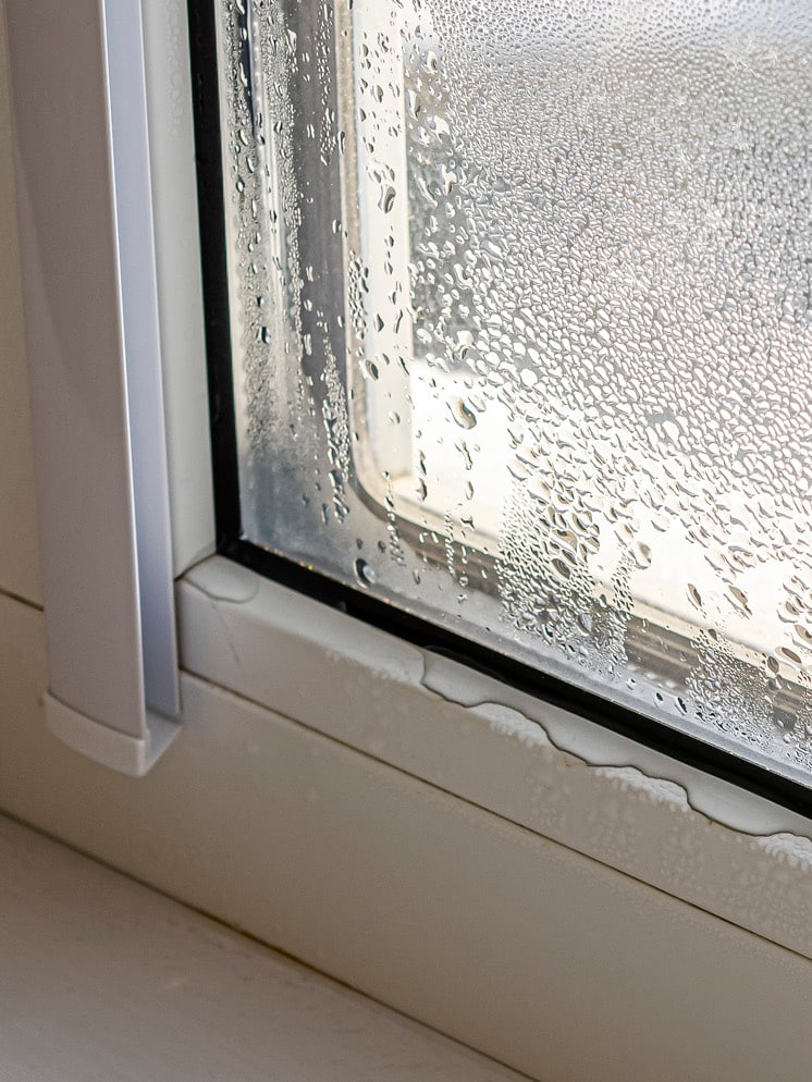 Drops of condensate and black mold on a substandard metal-plastic window