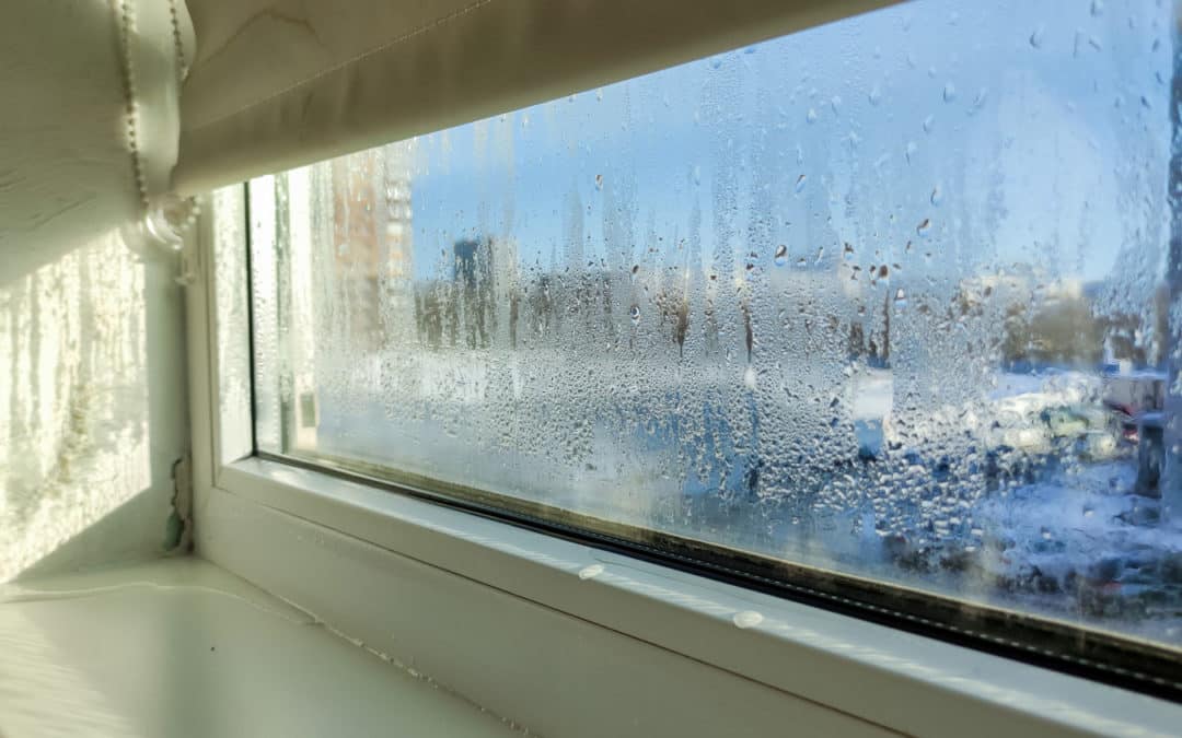 Condensation : comprendre la buée pour retrouver un intérieur sain